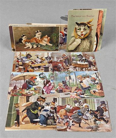 45 Postkarten *Katzen* 1905/10
